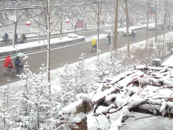 鄭州大雪